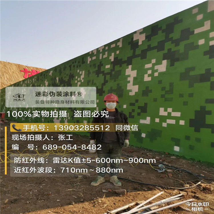 安庆外墙迷彩漆施工注意事项(通用 + 数码专属)